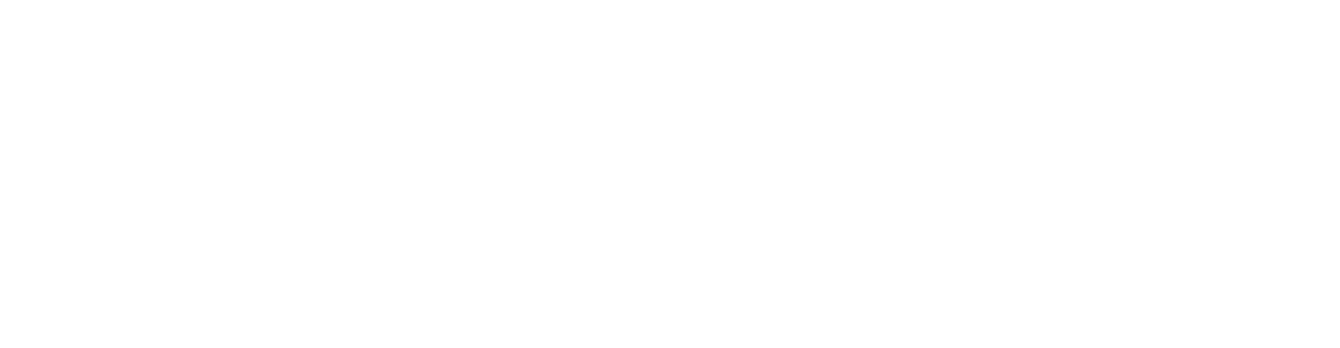 Karen Hayesod